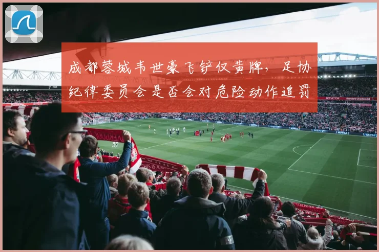 成都蓉城韦世豪飞铲仅黄牌，足协纪律委员会是否会对危险动作追罚？